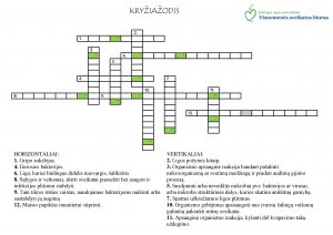 Kryžiažodis